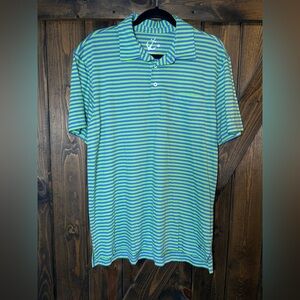 Classic Striped Polo Shirt in Green and Blue